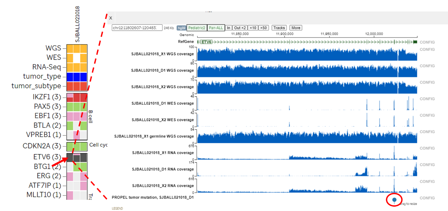 Genomic Coverage heatmap screenshot